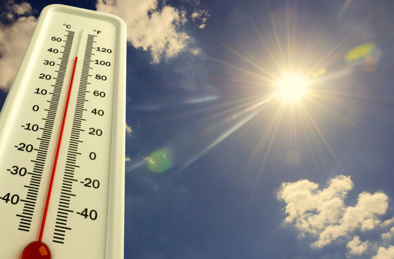 EMERGENZA CALDO